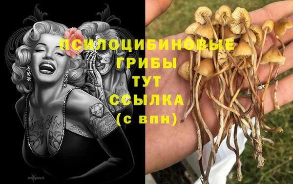 ГАЛЛЮЦИНОГЕННЫЕ ГРИБЫ Зеленодольск