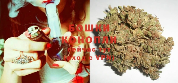 прущие крисы Зеленокумск