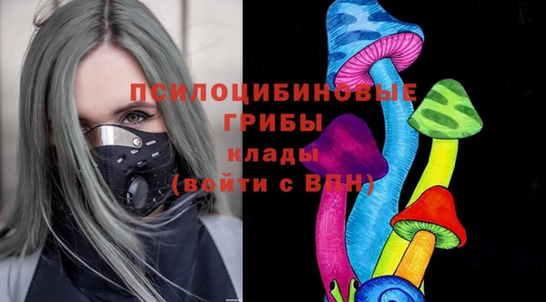 ГАЛЛЮЦИНОГЕННЫЕ ГРИБЫ Зеленодольск