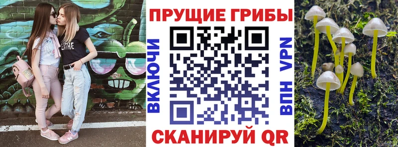 Псилоцибиновые грибы Psilocybe  Купить закладки  Вилюйск 