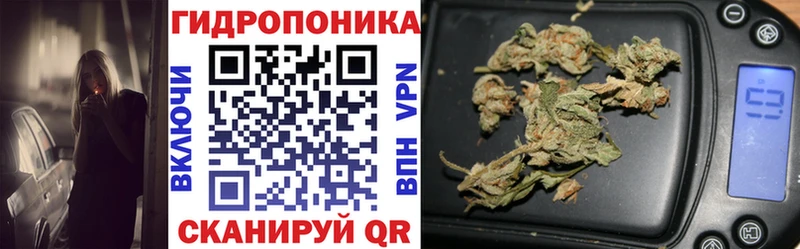 Купить закладки  Вилюйск  Конопля Ganja 
